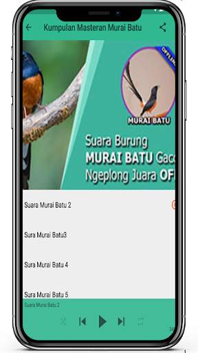 Masteran Murai Batu Offline Terlengkap 4 تصوير الشاشة