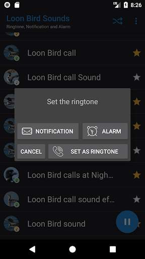 Appp.io - Loon Bird Sounds screenshot 4