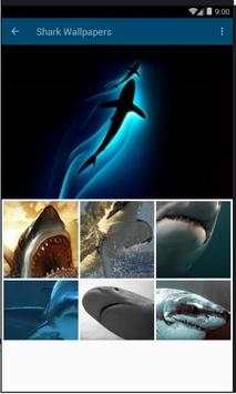 Shark Wallpapers Free HD screenshot 2