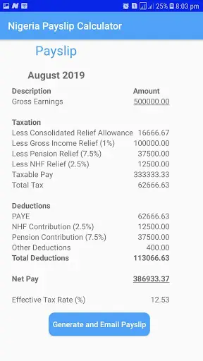 Nigeria Payslip Calculator screenshot 2