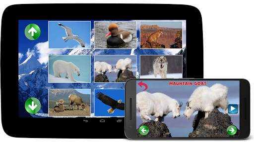 Animal Sounds screenshot 8