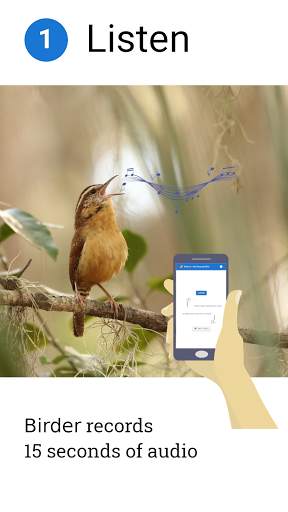Birder.AI - The Bird Sound Identifier screenshot 1
