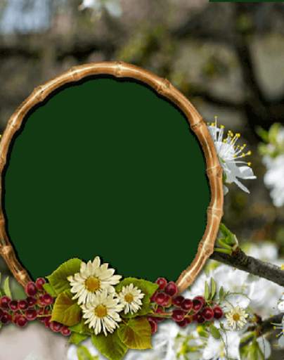 Nature Photo Frames HD screenshot 6