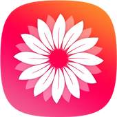 Gallery Photos 1.5