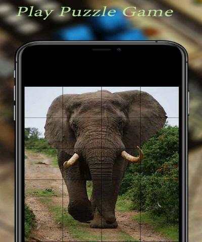Photo Puzzle Game screenshot 5
