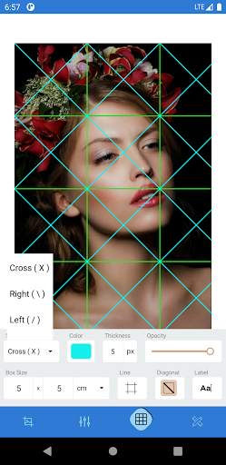 Grid App for Artists screenshot 3