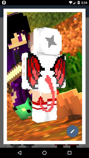 HD Skins Editor for Minecraft screenshot 5