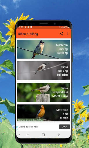 Kicau Burung Kutilang Offline screenshot 1