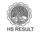 HS Result 1.0