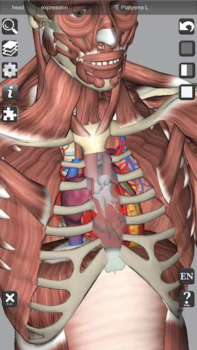 3D Bones and Organs (Anatomy) screenshot 7