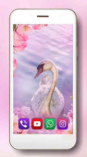 Spring Swans Live Wallpaper screenshot 6
