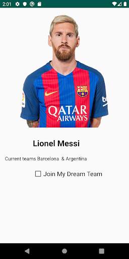 My Dream Team screenshot 4