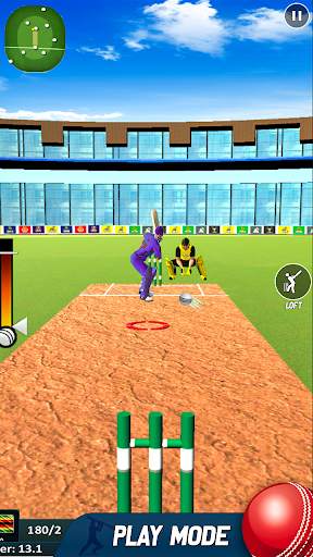 World Cricket T2O Cup Games screenshot 4