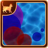 Bubble Screen