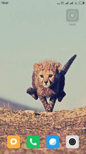 Safari HD Wallpaper screenshot 12
