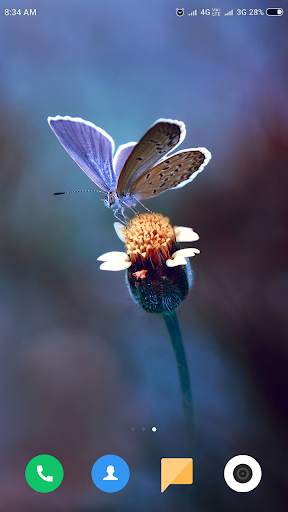 Macro Wallpaper HD screenshot 1