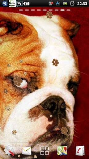 english bulldog live wallpaper - cute bulldog screenshot 2
