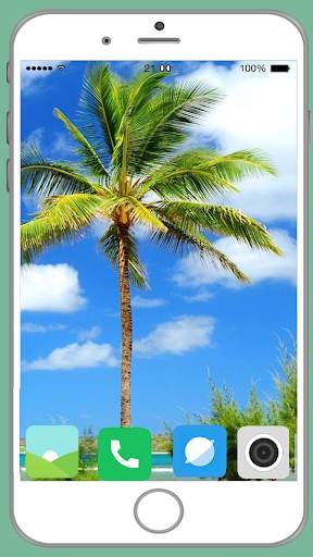 Palm Tree Full HD Wallpaper screenshot 7