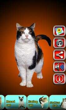 Talking Cat screenshot 2