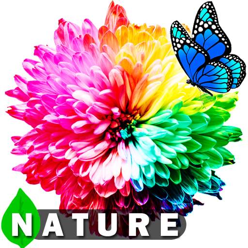 Nature Live Wallpapers | HD 4K 1.1