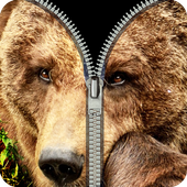 bear fake zipper lock icon