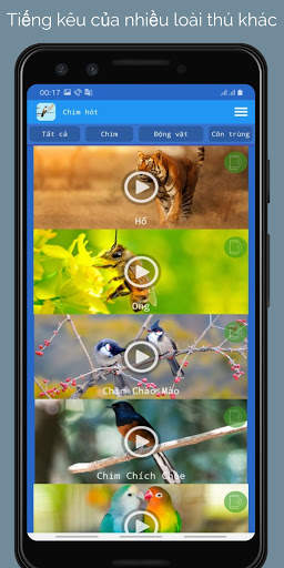 Tiếng Chim Hót screenshot 4