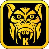 Temple King Run 1.1