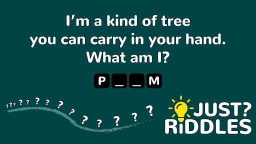 Just Riddles screenshot 5