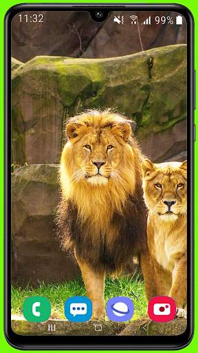 Lion Wallpaper Best HD screenshot 1