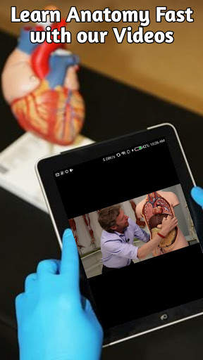 ONLINE Anatomy - Videos, Quizzes and Chats. screenshot 2