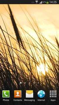 Grass Live Wallpaper HD screenshot 5
