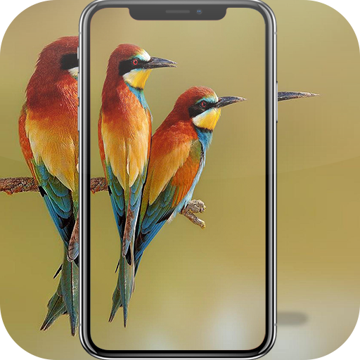 Beautiful Bird Wallpaper icon