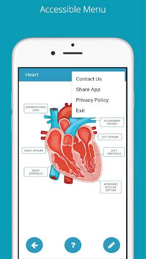Learn Human Anatomy (Human Body) screenshot 5
