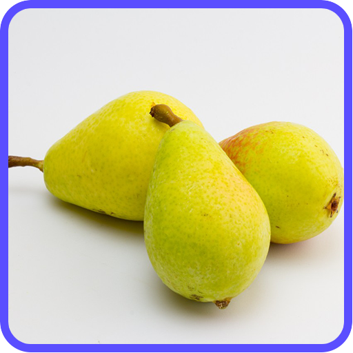 Pear Recipes: Pear cake, Pear salad, Pear pie icon