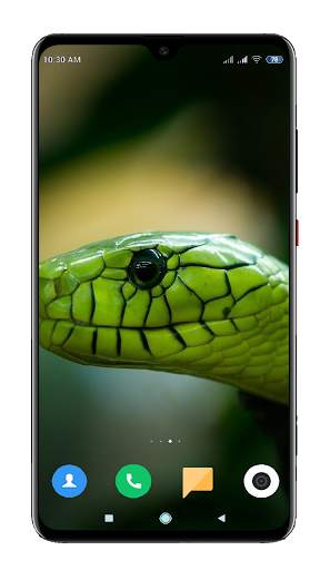 Snake Wallpaper HD screenshot 9