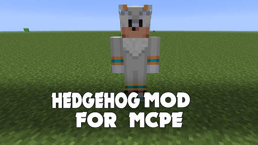 Hedgehog Mod for Minecraft PE screenshot 2