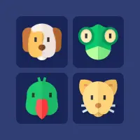 Picture Match Game - Memory Game App