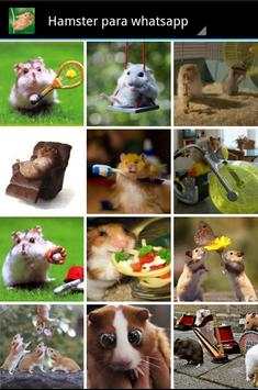 Hamster para whatsapp screenshot 1