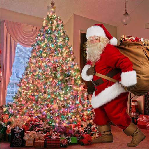 Santa Camera screenshot 8