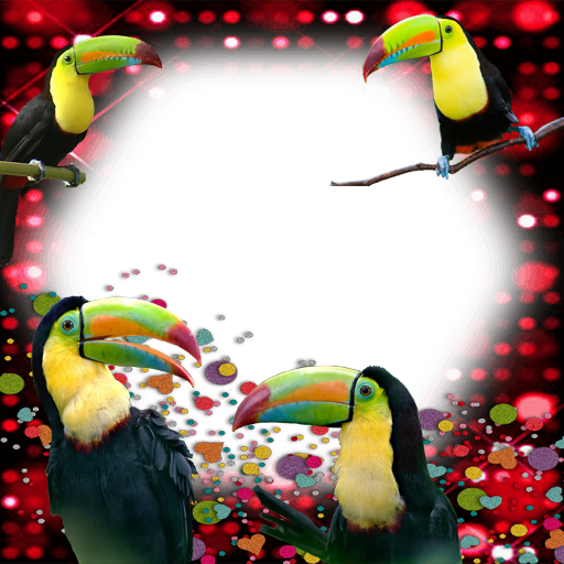 Birds Photo Frames icon