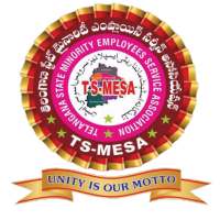TS-MESA icon