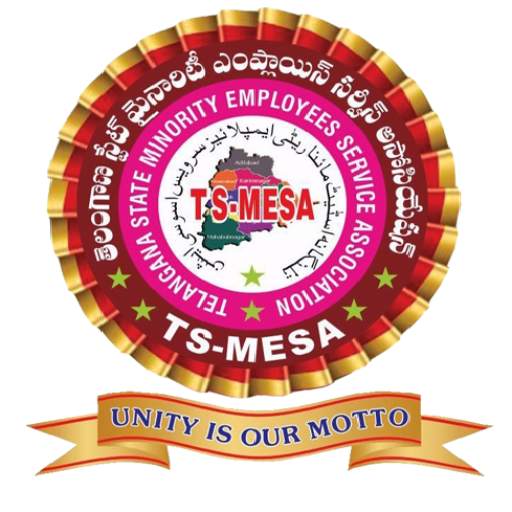 TS-MESA 0.8