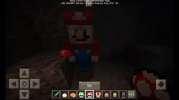 Mario Craft Mod for PE screenshot 4