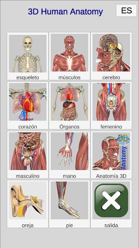 3D Bones and Organs (Anatomy) screenshot 1