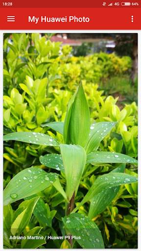 My Huawei Photo 3 تصوير الشاشة
