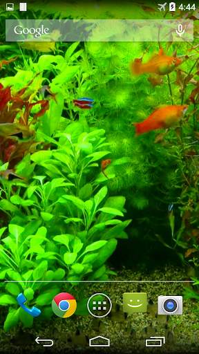 Real Aquarium 3D Wallpaper screenshot 4