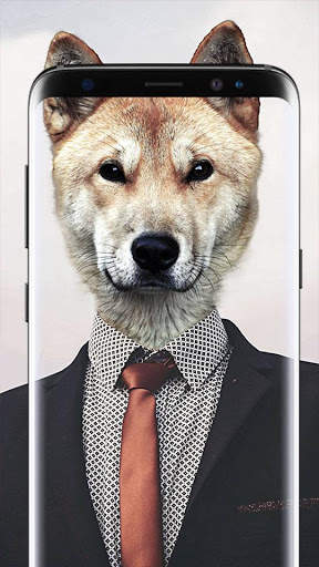 Dog Wallpapers Live HD screenshot 1