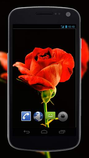 4K Red Rose Video Live Wallpaper screenshot 1