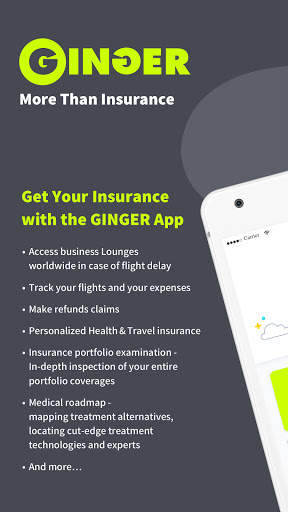 Ginger screenshot 1