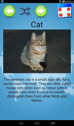 Animals Quiz & Infos скриншот 6